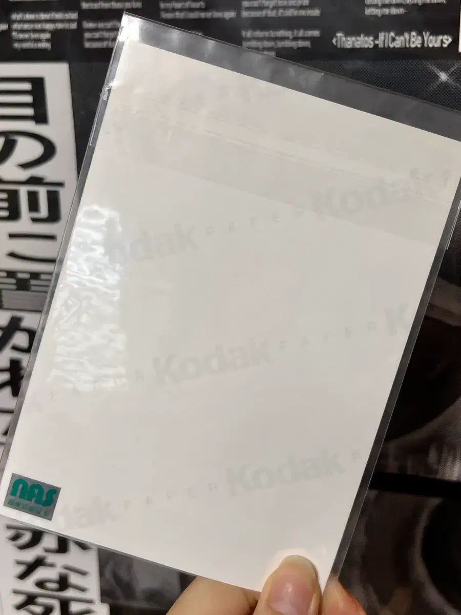 エヴァンゲリオン ミサト ブロマイド