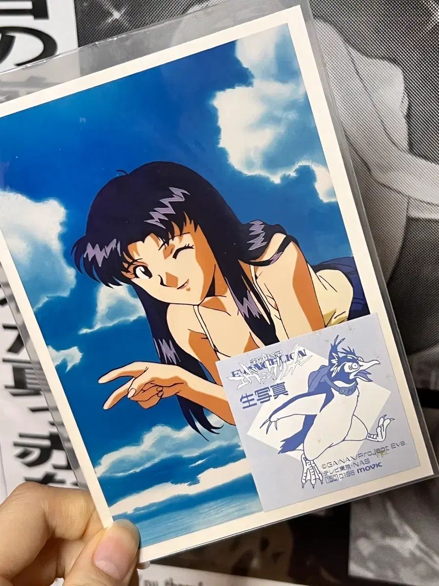 エヴァンゲリオン ミサト ブロマイド