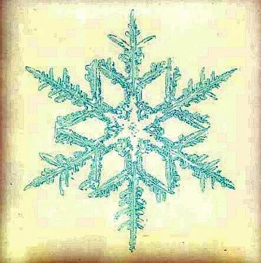 中古】邦楽CD BUMP OF CHICKEN / スノースマイル - メルカリ