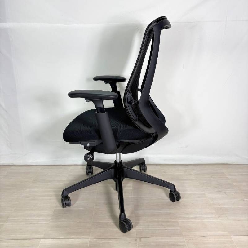 シルフィーチェア メュシュ