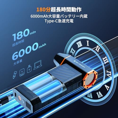 6本除電ブラシ付 洗車