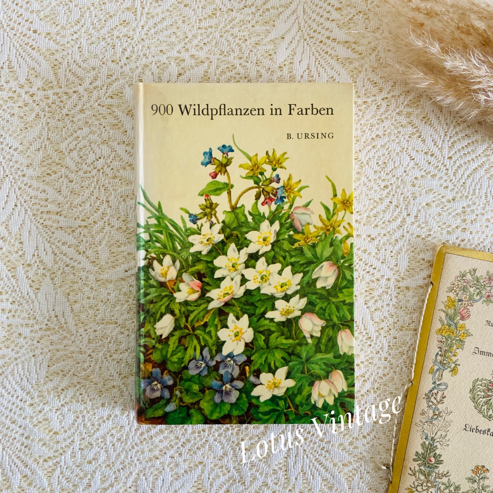 ナチュラルな雰囲気の植物図鑑 900種の野の花収録 インテリア洋書