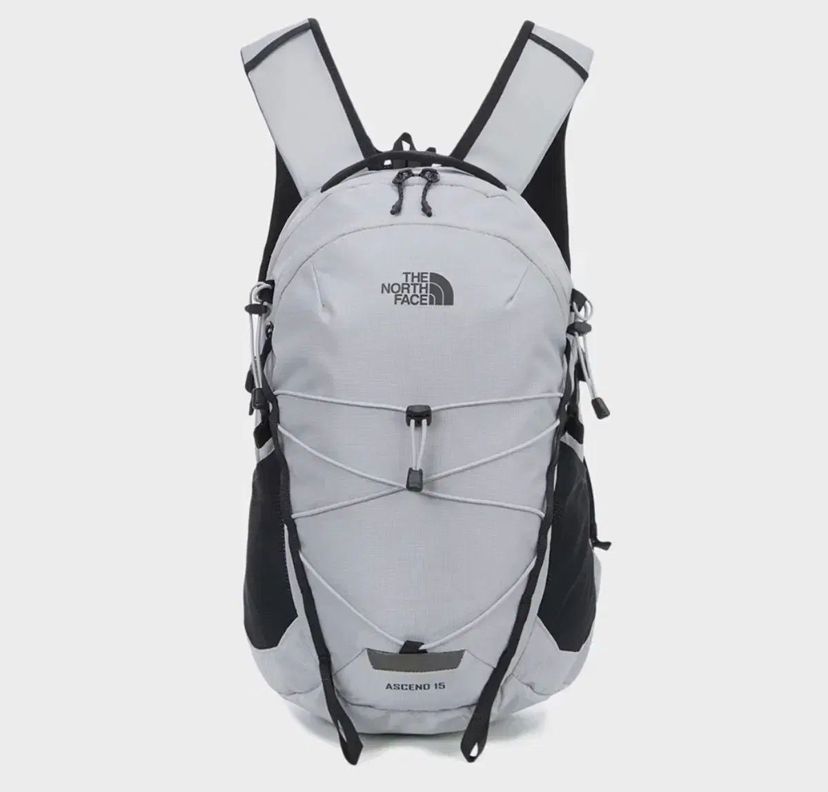 THE NORTH FACE ザノースフェイス Ascend 15 バックパック グレー