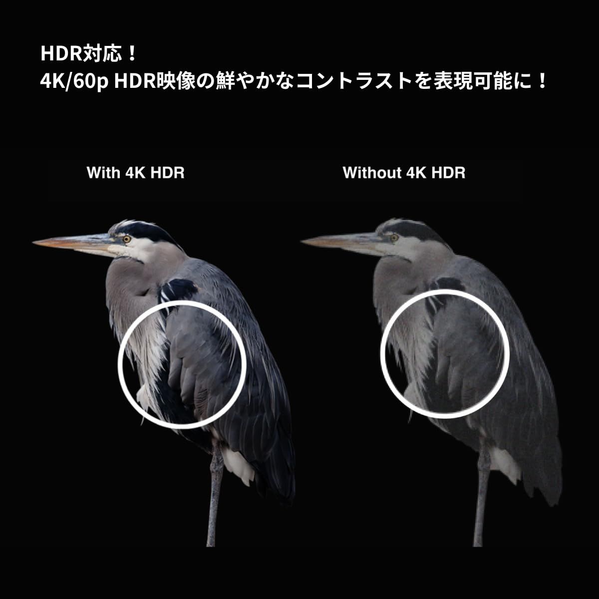 新品 EZCast Ultra2（イージーキャストウルトラツー）【日本語版】【技