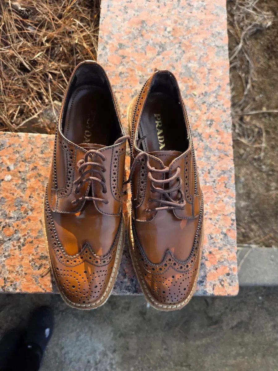 PRADA プラダ ブラウン スポーツブラ ウイングチップ レディース 靴