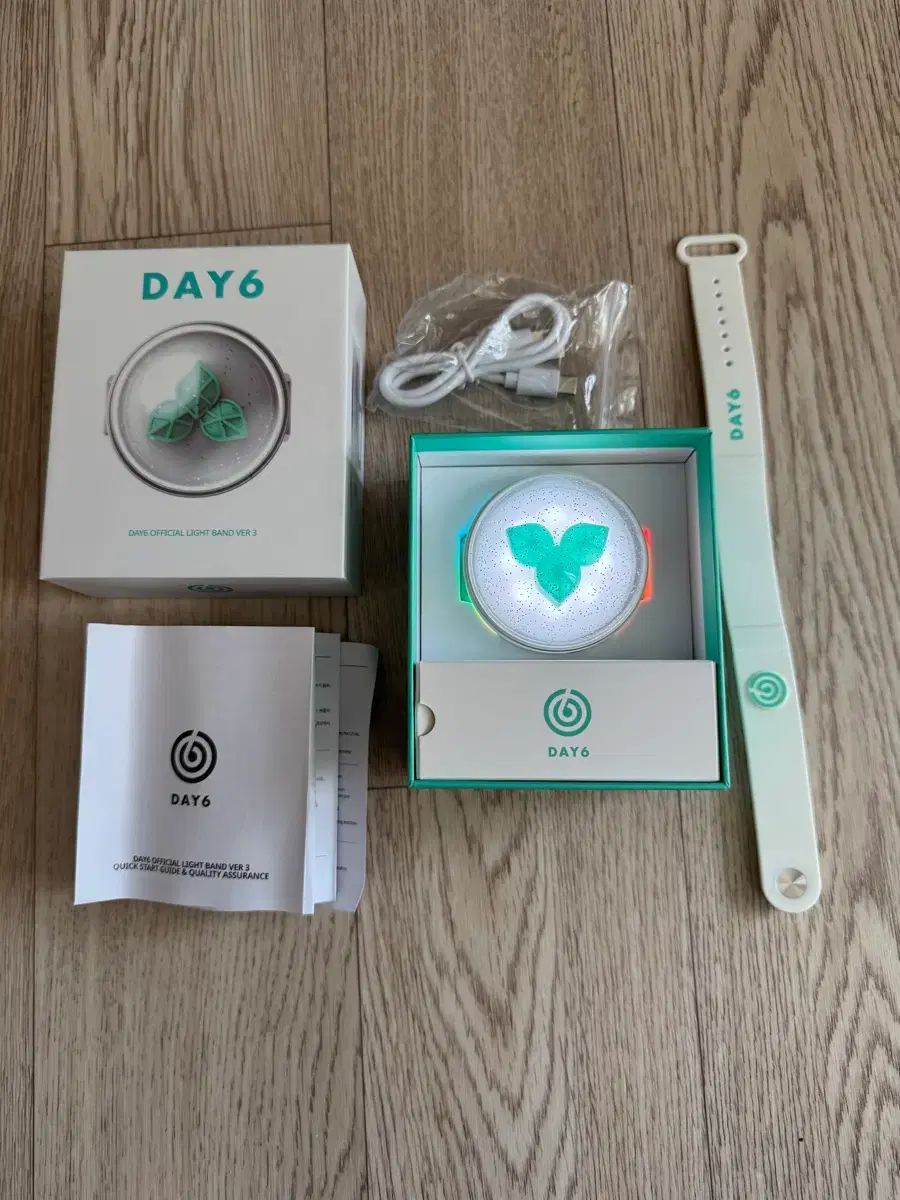 DAY6（デイシックス） OFFICIAL LIGHT BAND Day6 ペンライト Ver 3