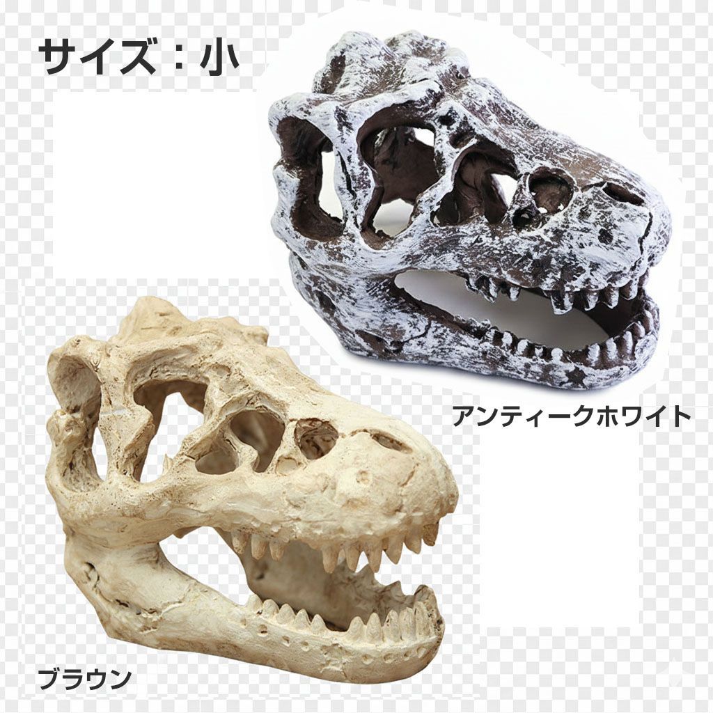 恐竜頭蓋骨　レプリカ 恐竜公園製品展示用恐竜頭蓋骨レプリカカスタム 屋外展示用 SR-1809
