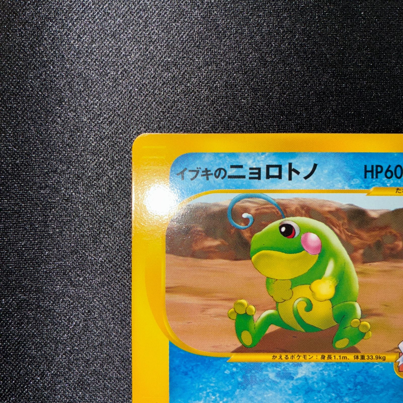 PSA10 ポケモンカードVS イブキのニョロトノ 131134277 PSA10 ポケモン