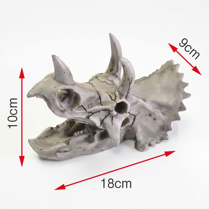 恐竜 骨 格闘 標本 トリケラトプス レプリカ スカル 骸骨 頭蓋骨