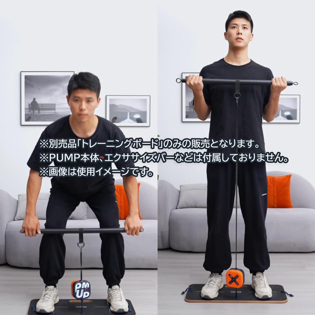 新品 Unitree (ユニツリー) PUMP 専用トレーニングボード 【別売