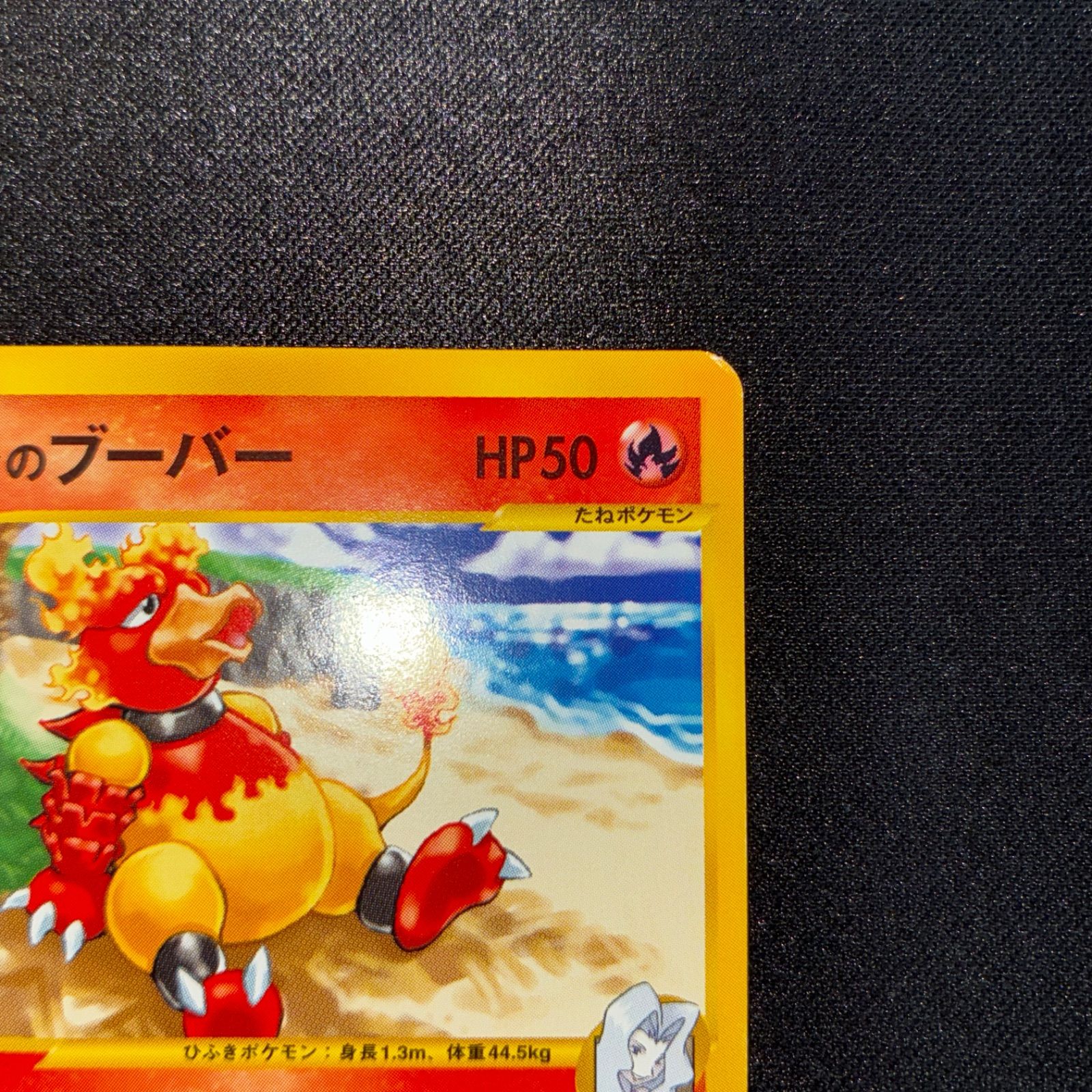 カリンのブーバー psa10 カリンのブーバー psa10 - メルカリ