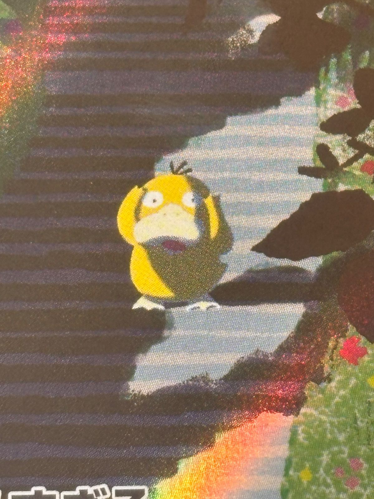 2023 ポケモンカード コダック #175 PSA10 AR 151 Amazon.co.jp: ポケモンカード151 sv2a 強化拡張パック コダック AR