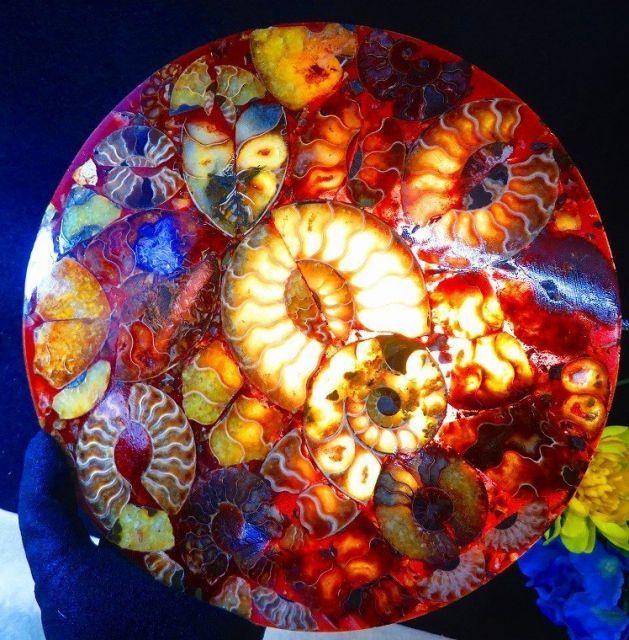 数万個の中の一個☆天然マダガスカル産 ☆ 縫合線オパールアンモナイト