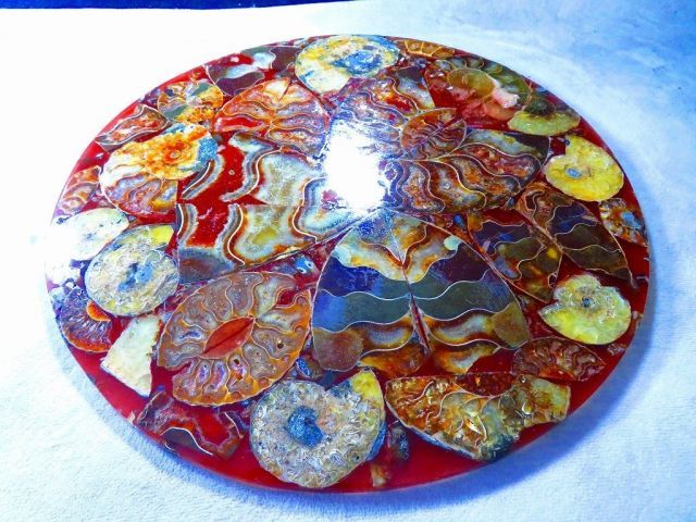 数万個の中の一個☆天然マダガスカル産 ☆ 縫合線オパールアンモナイト