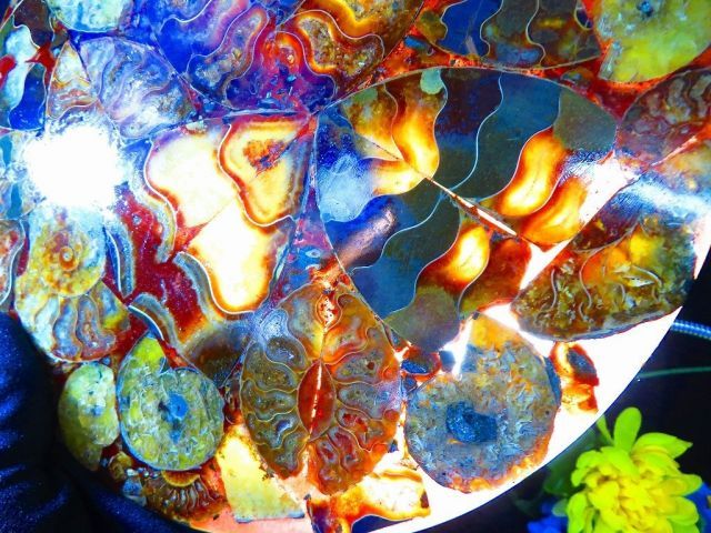 数万個の中の一個☆天然マダガスカル産 ☆ 縫合線オパールアンモナイト