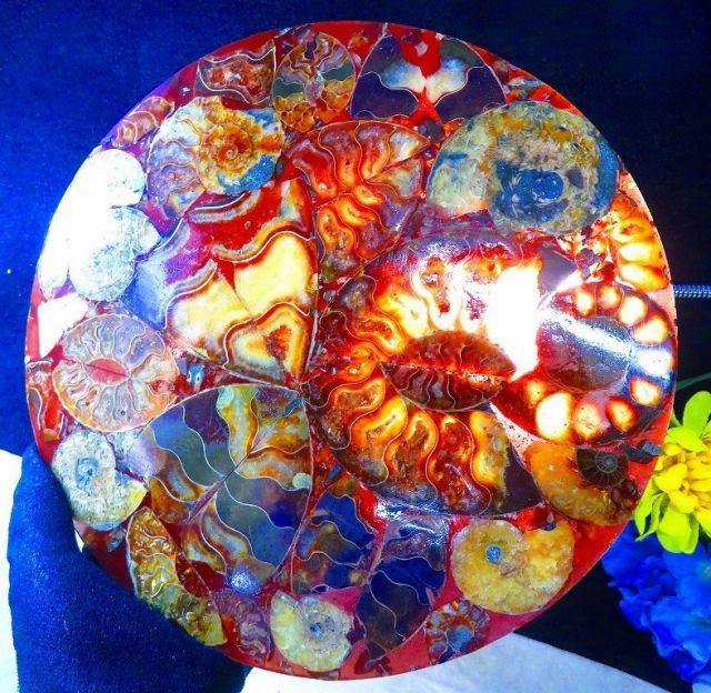 アンモナイトオパール 数万個の中の一個☆天然マダガスカル産 ☆ 縫合線オパールアンモナイト