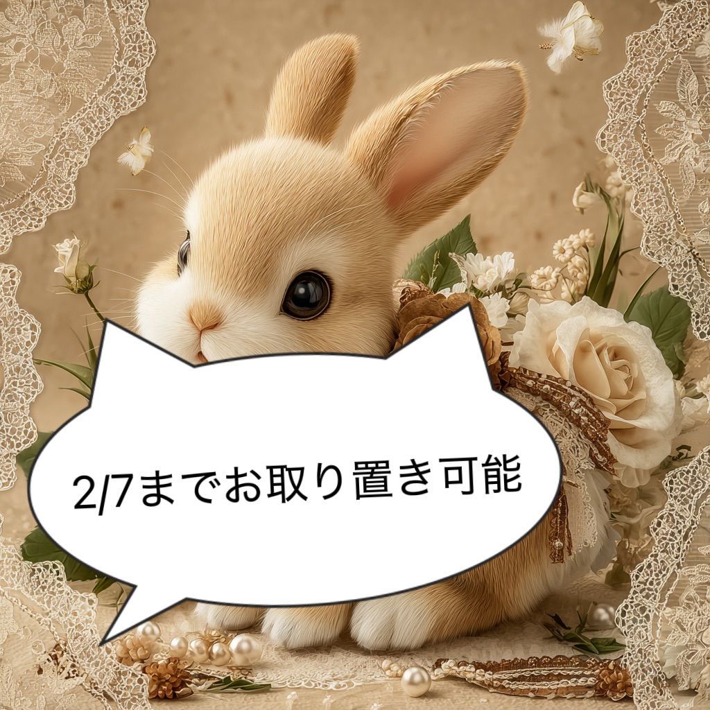 森のうさぎ₍ᐢ.ˬ.ᐢ₎ෆプロフ必読様専用 - メルカリ