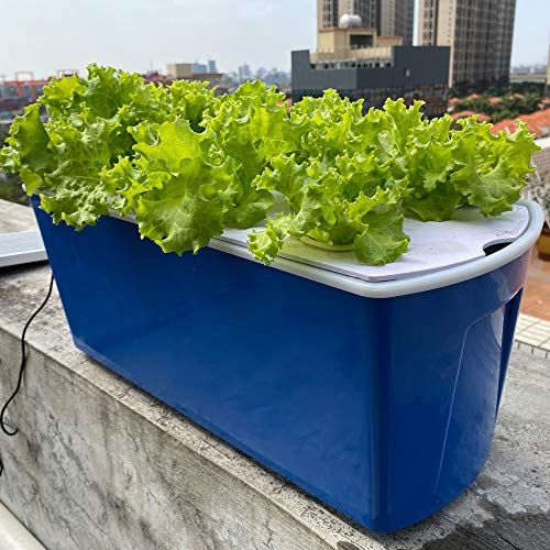 迅速に発送 水耕栽培システム 10穴 水耕栽培キット 水耕栽培植物用 水耕栽培野菜 果物 ハーブ 花など 屋内 屋外用 無土壌栽培植栽ボックス ポンプ付き 上層4 L 下層7 8 ce 1 fa 83