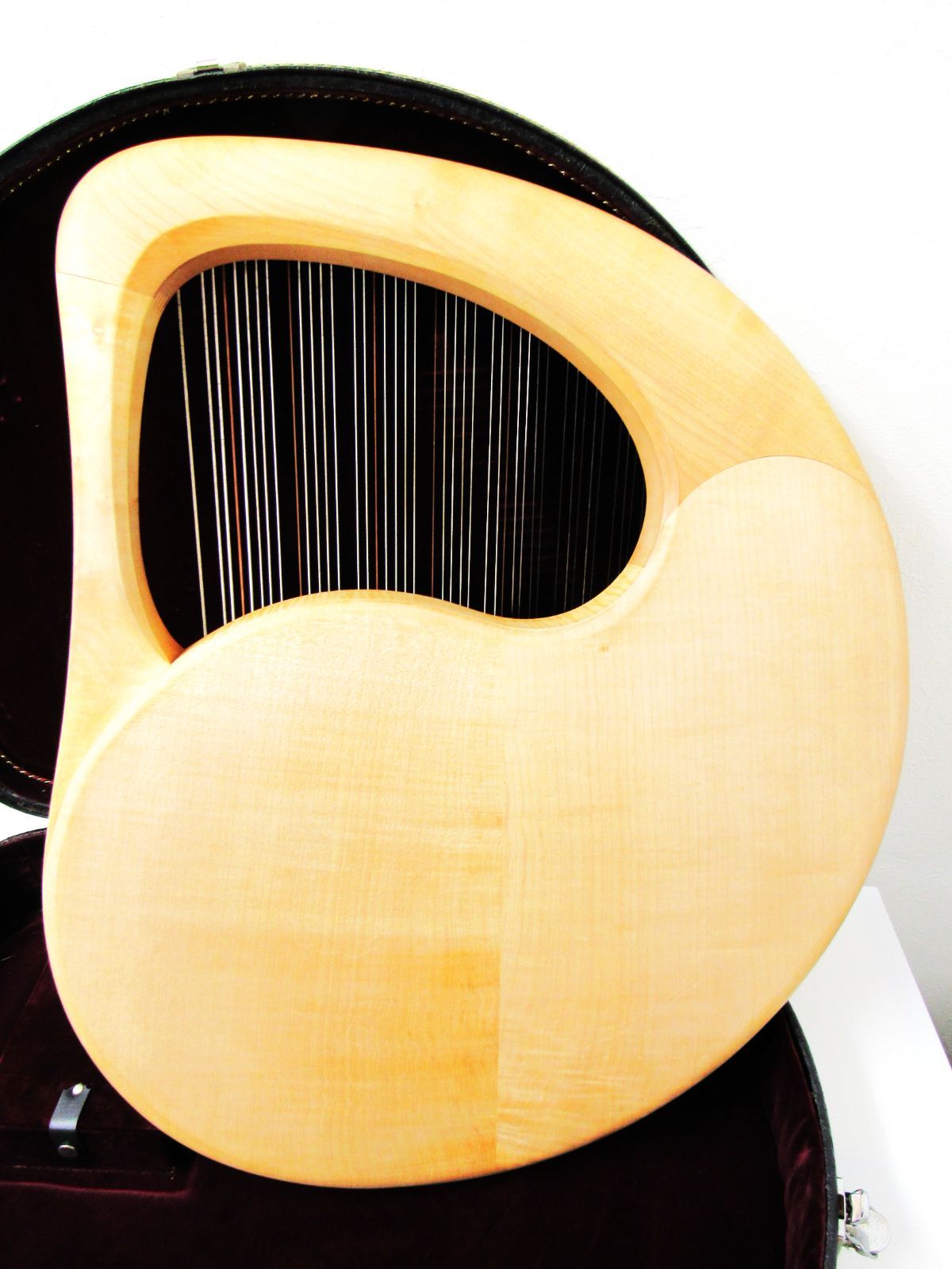 SALEM ザーレム ライアー ソロアルト 42弦 SOLO ALT ザーレムライアー