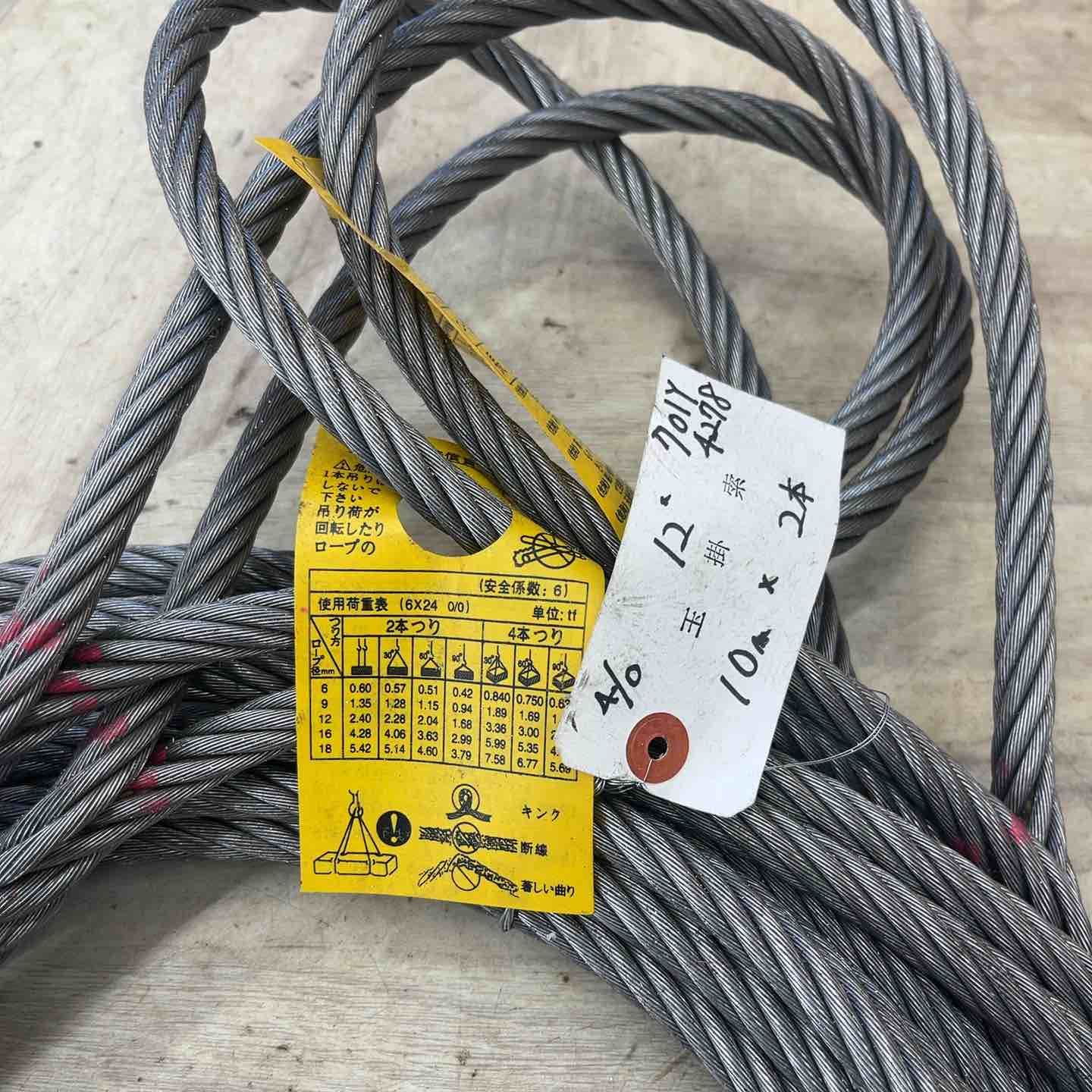 玉掛け索 ワイヤー 12ｍｍ 10ｍ 2本セット