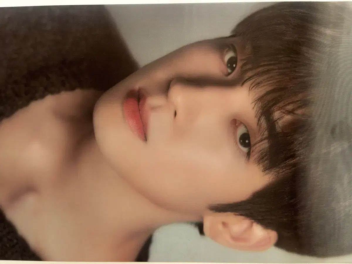 SEVENTEEN DICON 写真集 ウォヌ ver