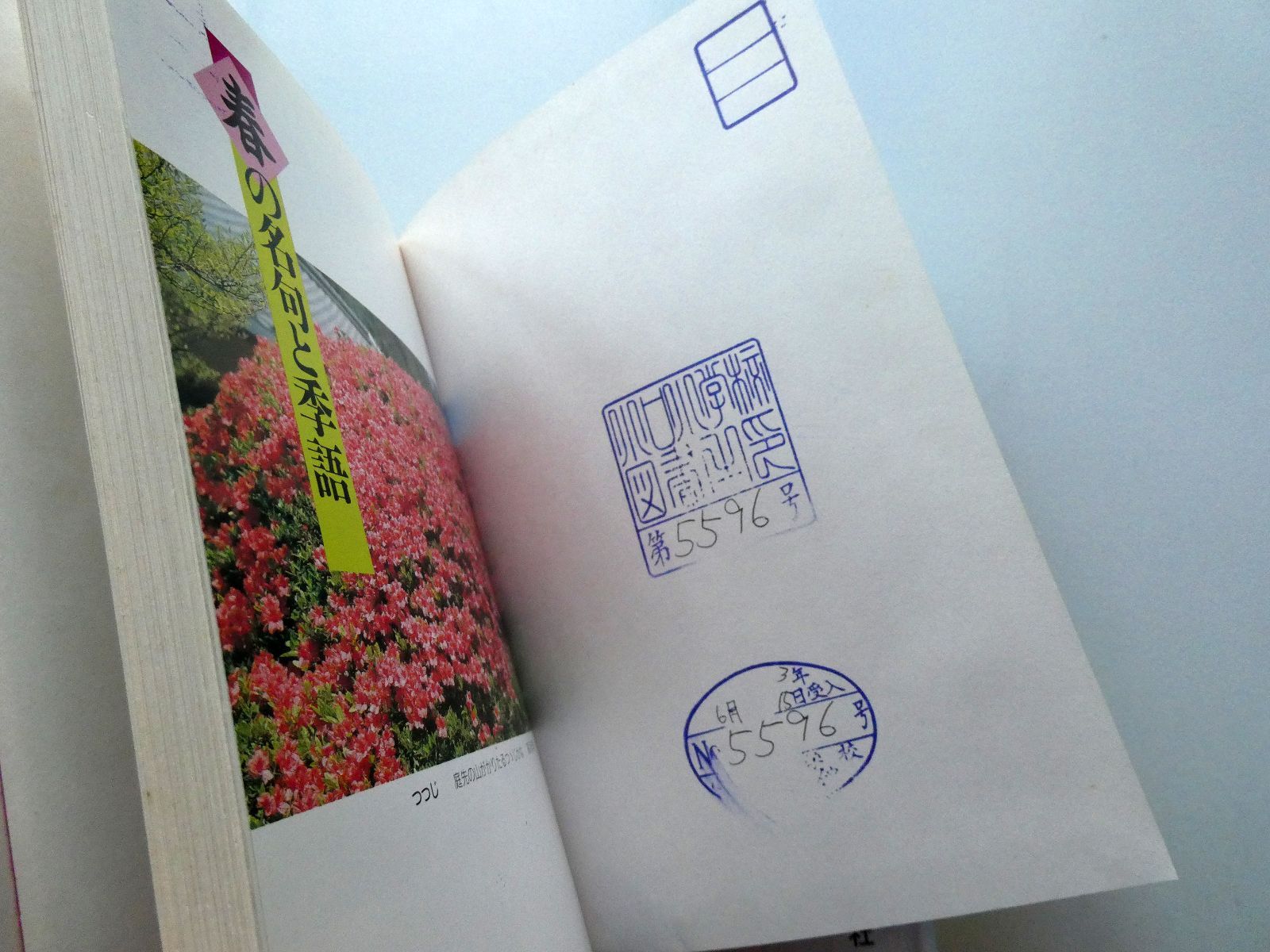 中古セット】除籍本 学習 俳句・短歌歳時記 春の名句と季語 / 夏の名句