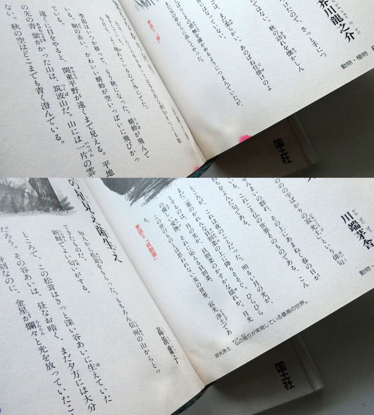 中古セット】除籍本 学習 俳句・短歌歳時記 春の名句と季語 / 夏の名句