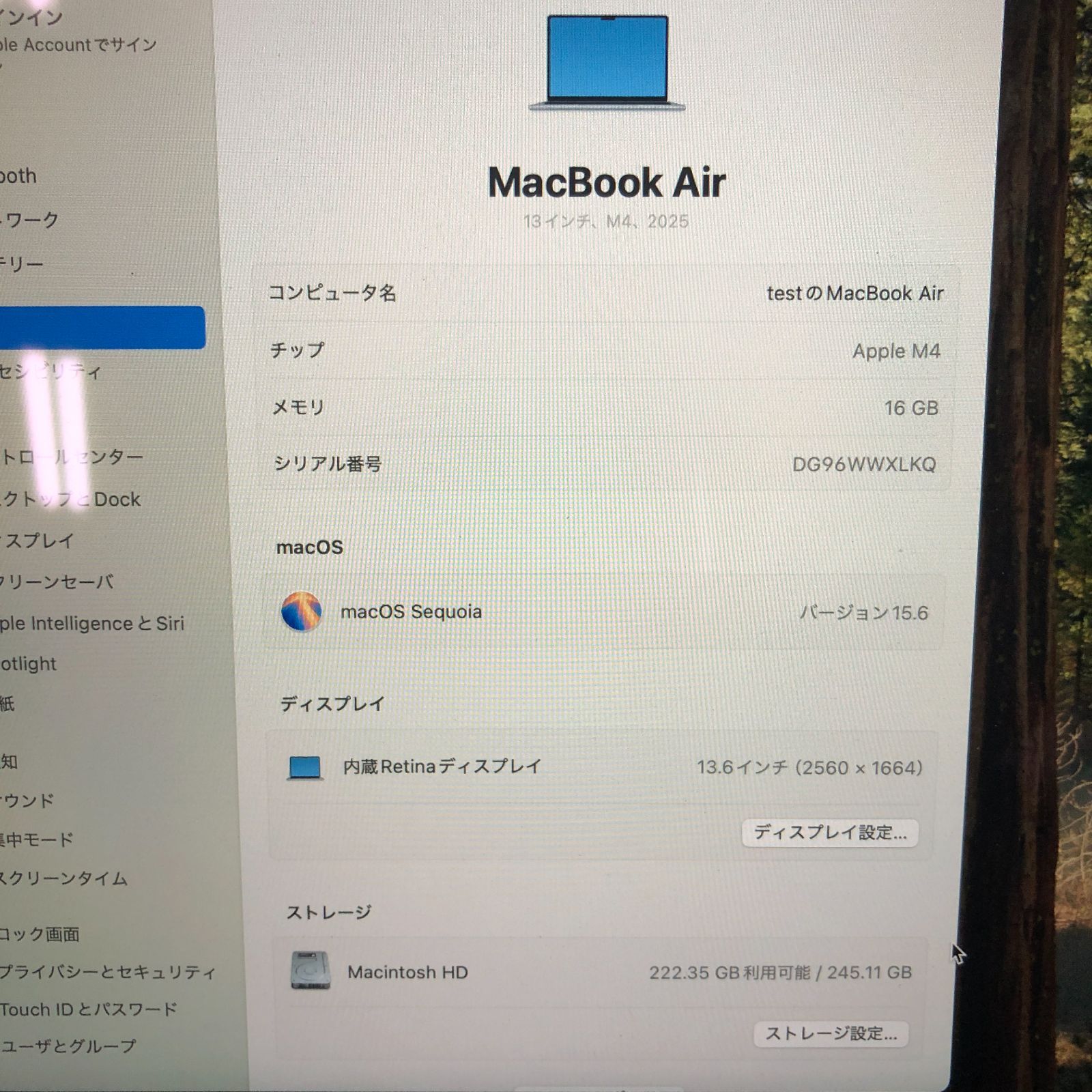 【DH1547】MacBook Air Early 2025 スカイブルー Z1H700060 /Apple M4/16GB/256GB SSD/13.6インチ Ritinaディスプレイ