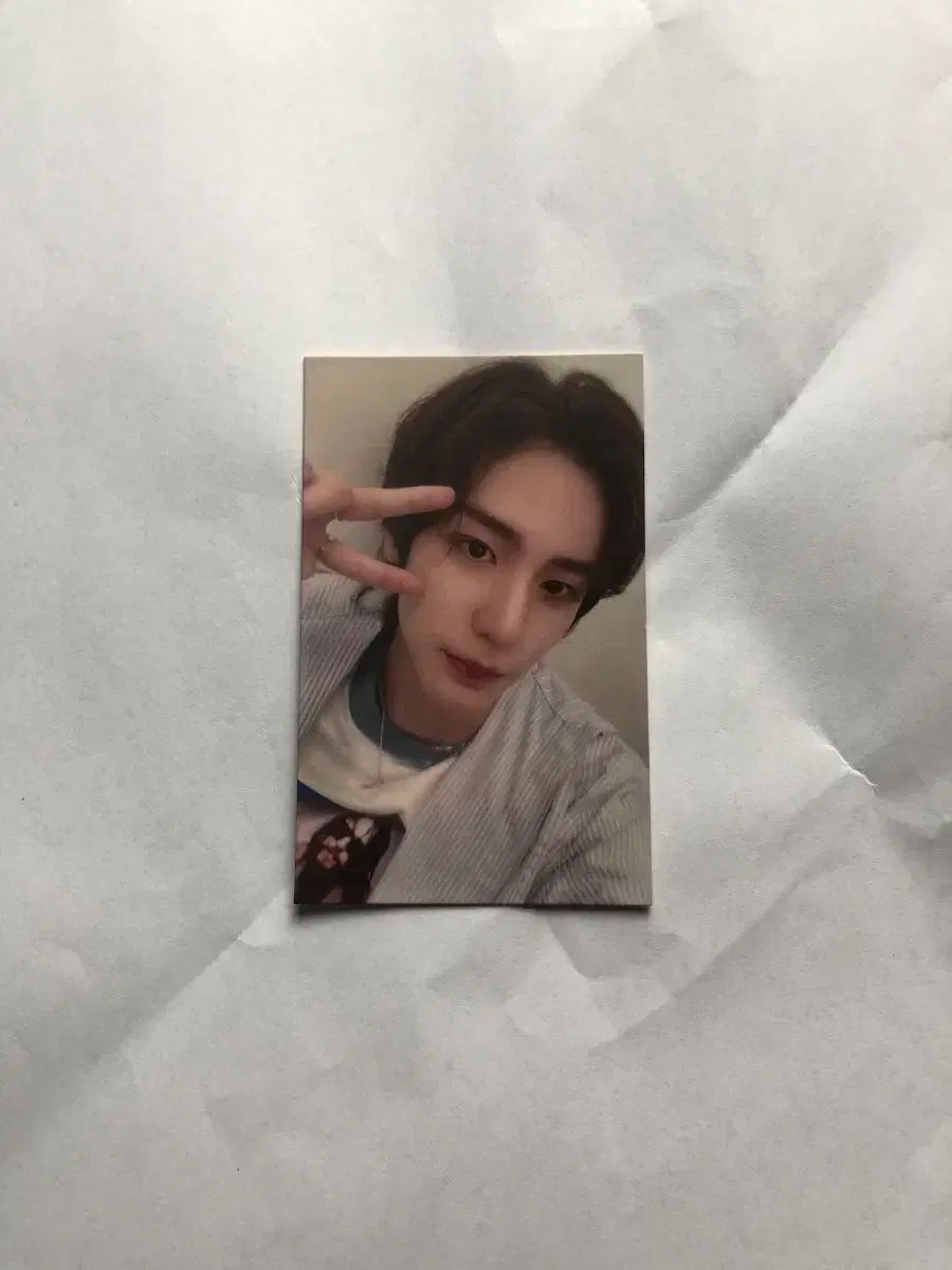 BOYNEXTDOOR ボイネク テサン TAESAN トレカ 盤 why