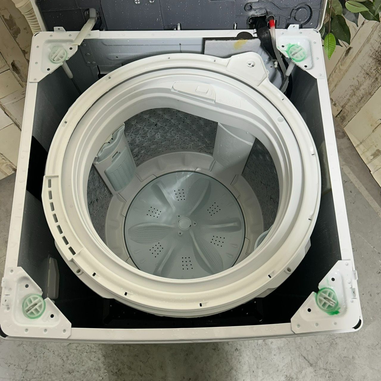 TOSHIBA 洗濯機 7kg 2023 配達可能 【公式通販】