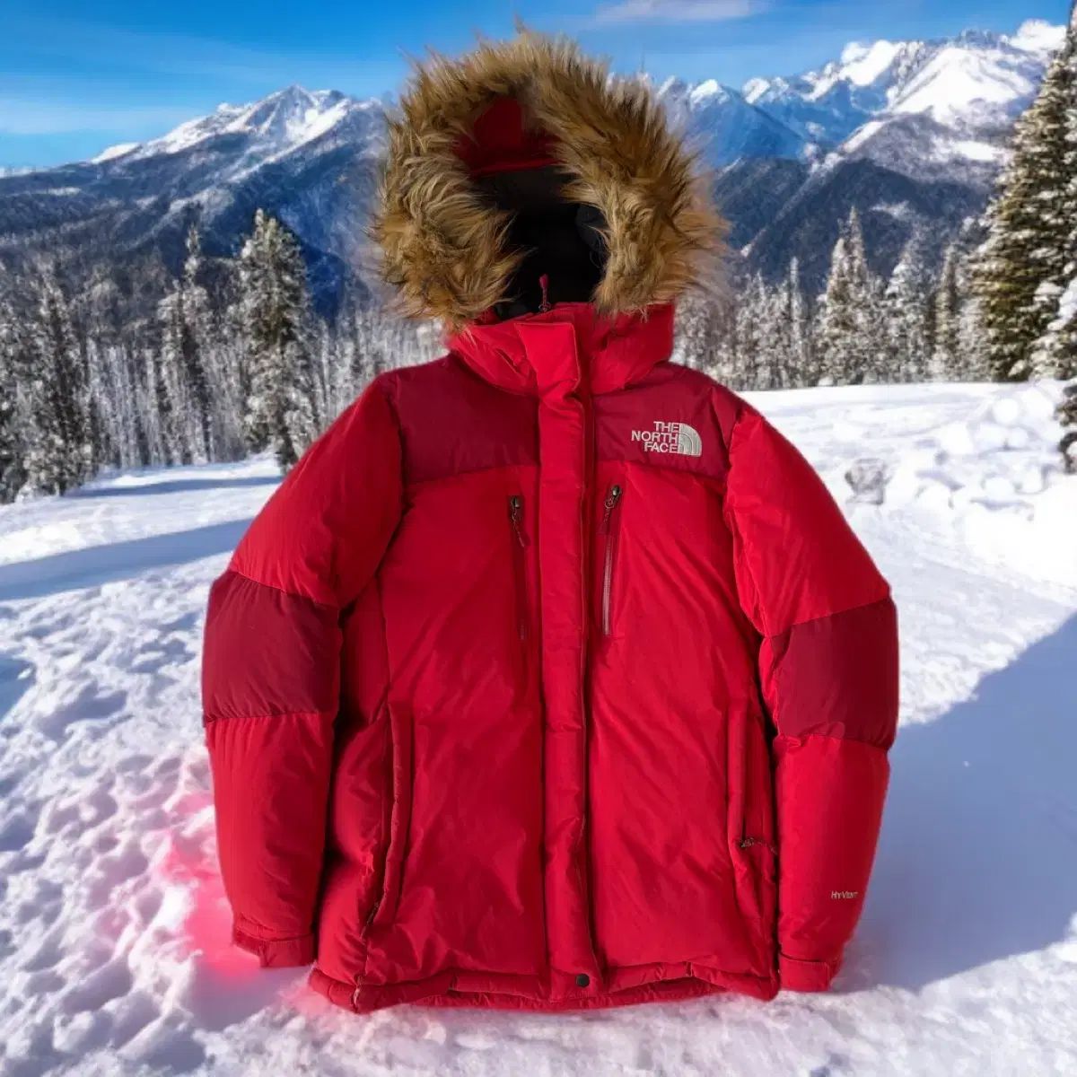 THE NORTH FACE ザノースフェイス レッド 必須アイテム ファー フード