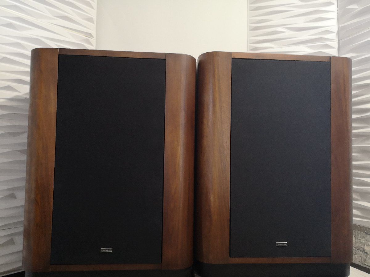 ◇ラスト1ペアのみ◇DIATONE 2S-305/2s305 ワイドレンジ・ホーン