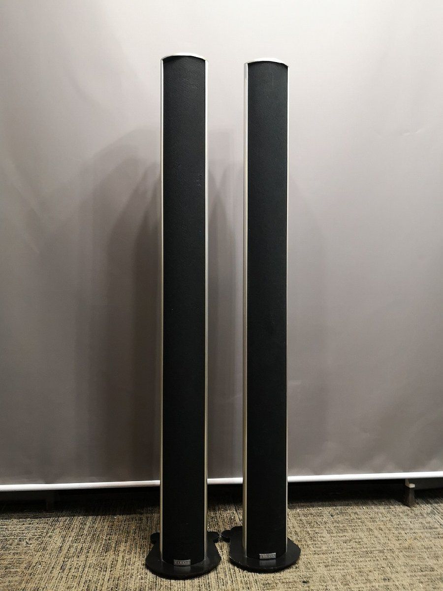 ◇PIEGA S4 希少スイス製・ピエガ・アルミ押出成形トールボーイ