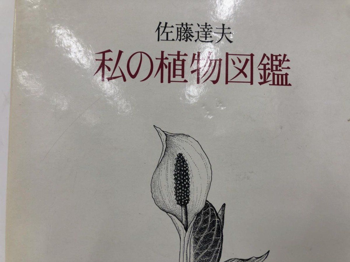 (値下げしました)佐藤達夫 植物画集 値下げしました)佐藤達夫 植物画集 本