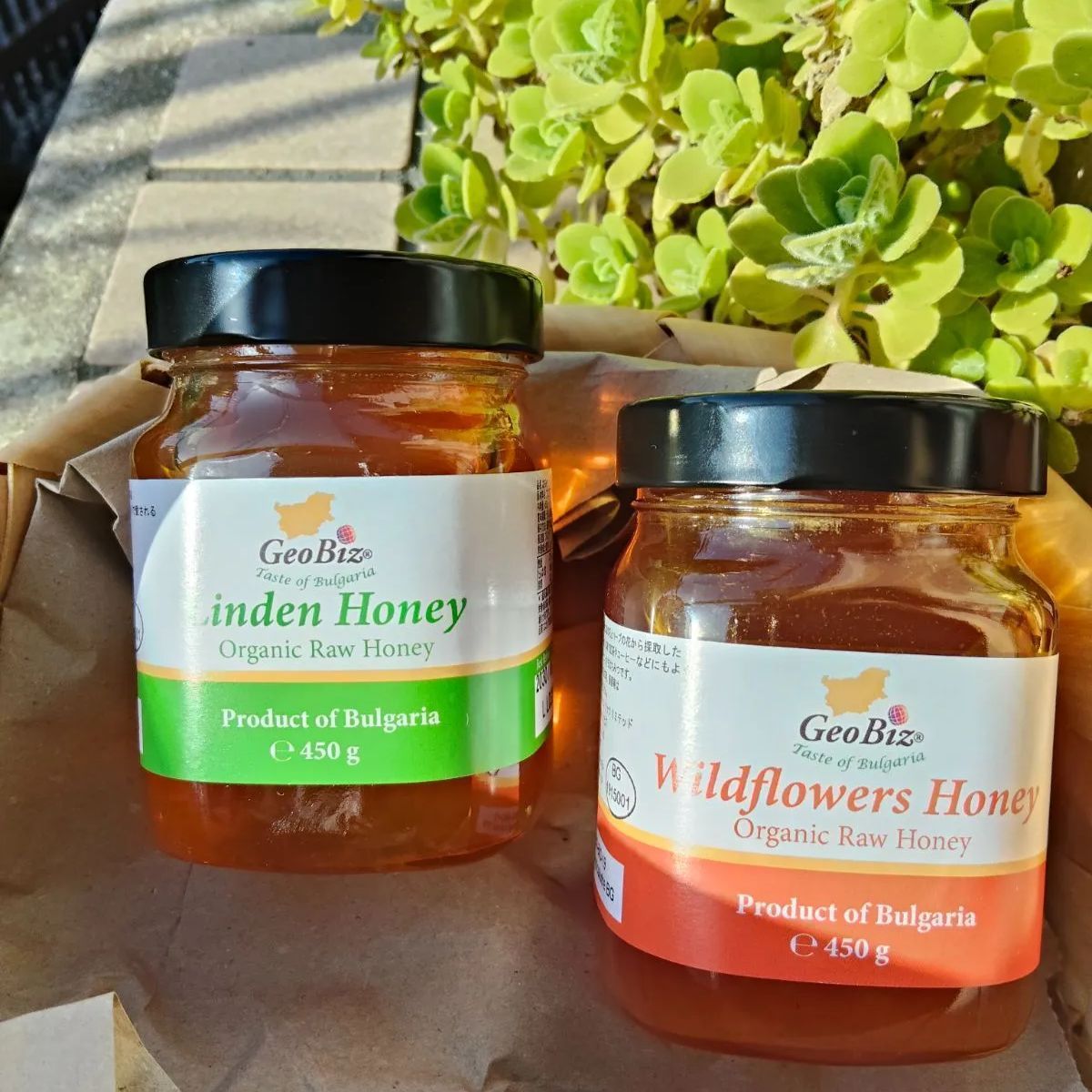 1.350g.リンデン、ワイルドフラワーと生菜の花EU認定 オーガニック生蜂蜜 1.350g.リンデン、ワイルドフラワーと生菜の花EU認定 オーガニック生