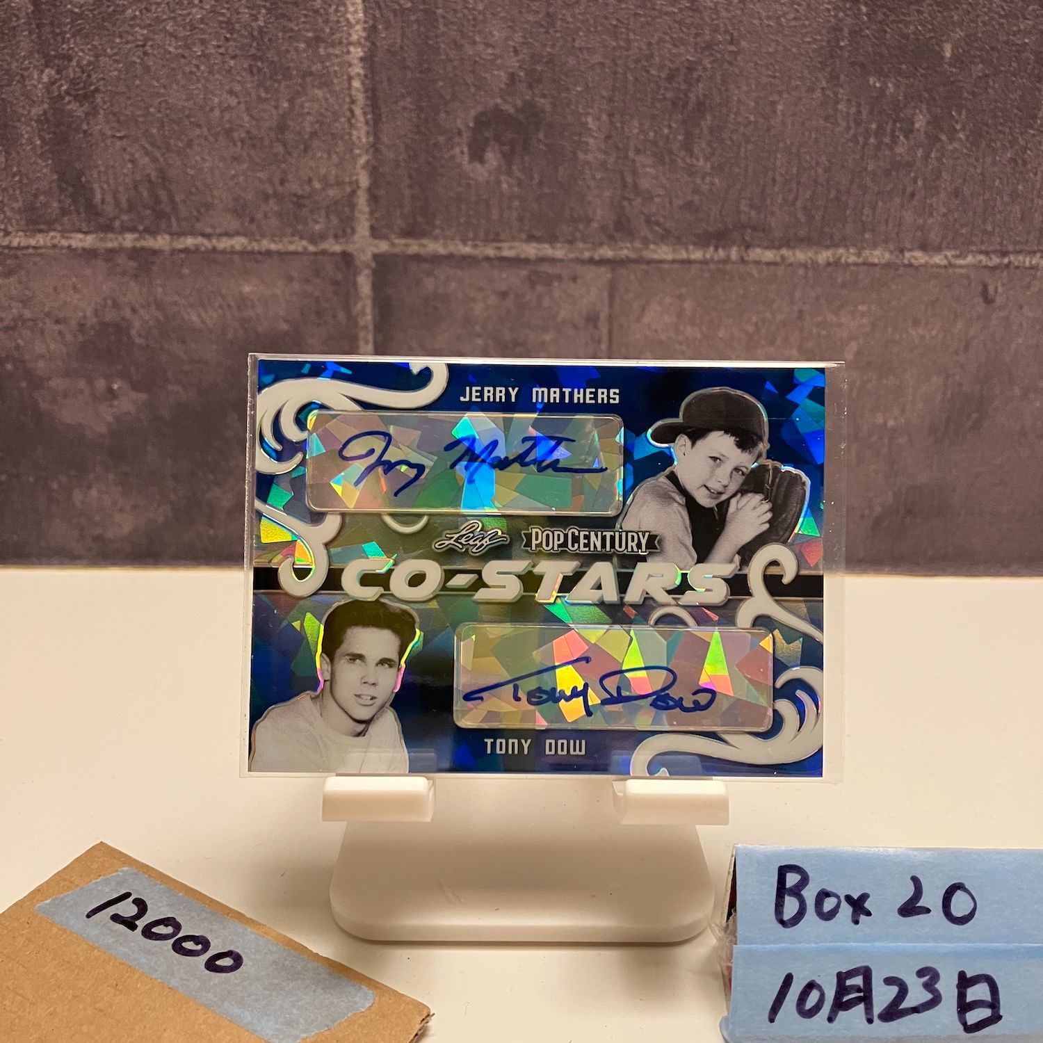 ドナルド・ギブ Donald Gibb サイン POP CENTURY 2/2 ドナルド・ギブ