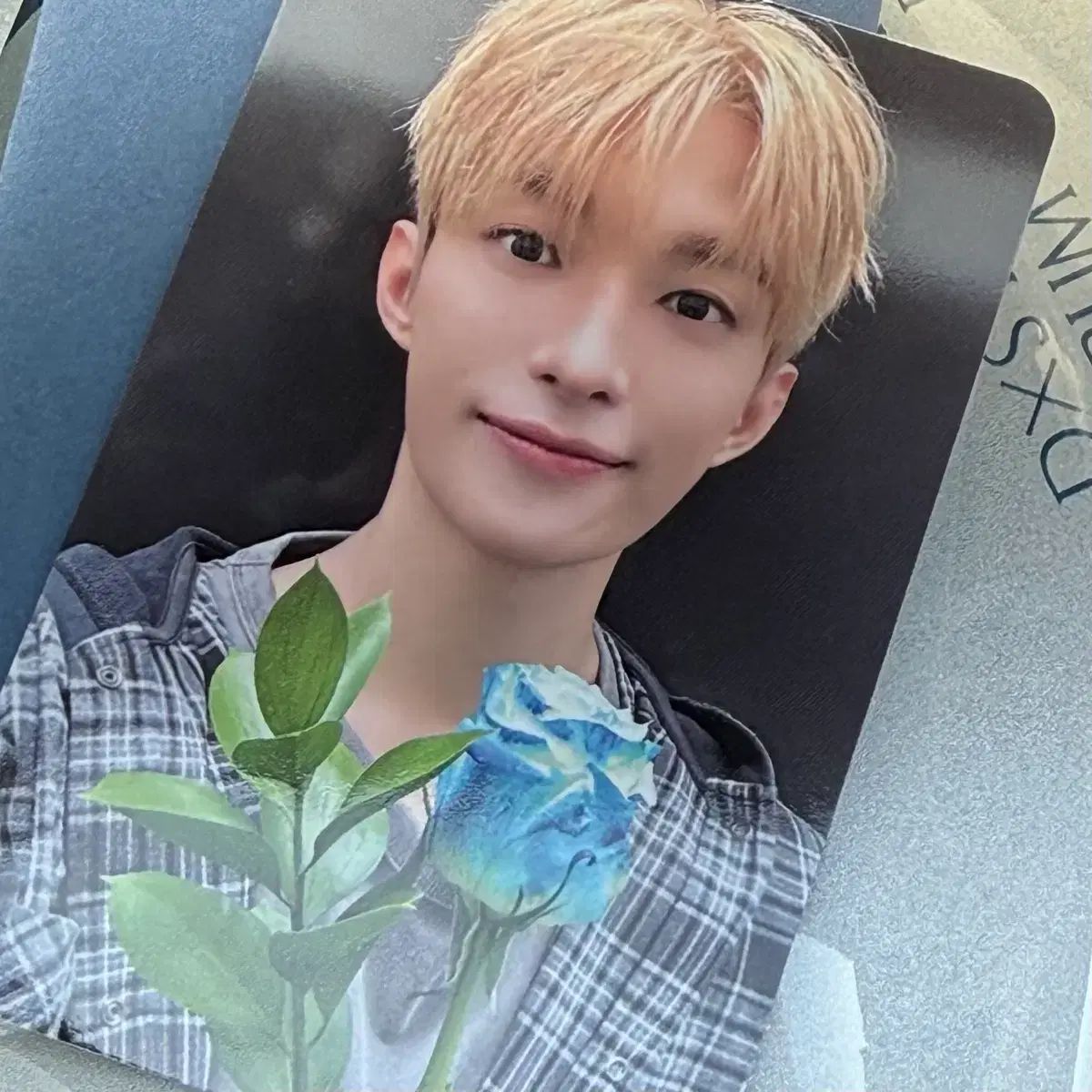 SEVENTEEN ドギョム(DK) ソヤゴク 公開番組サノク トレカ + はがき