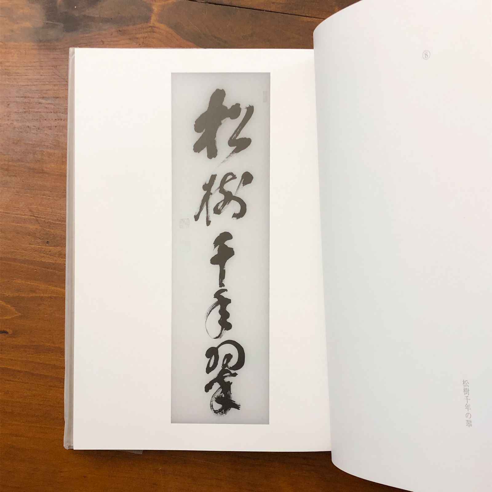 大森曹玄老師遺墨 漢墨 大森曹玄 鉄舟会 平成十二年六月十七日発行