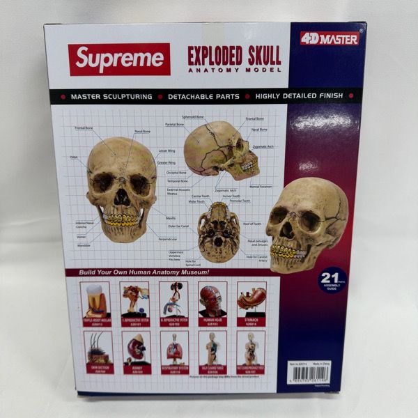 未使用】Supreme シュプリーム【23AW】4D Model Human Skull/4Dモデル
