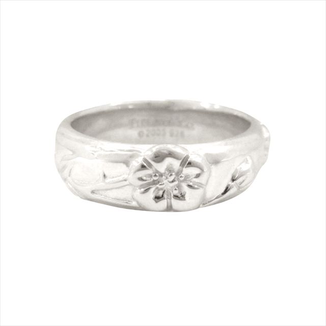 新品仕上げ済 新同 極美品 ティファニー TIFFANY & CO. ネイチャー