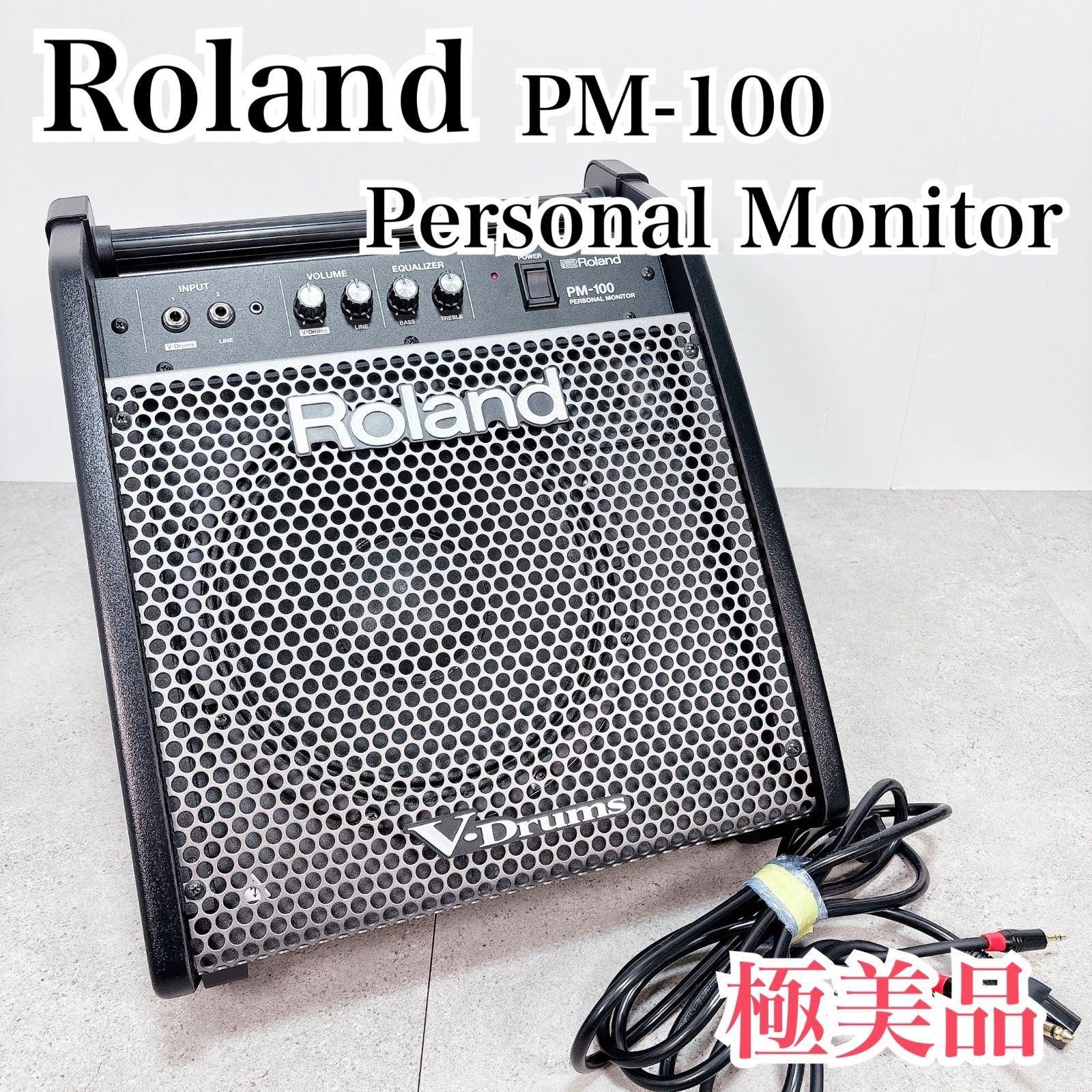 極美品！ Roland ローランド Personal Monitor PM-100 パーソナル