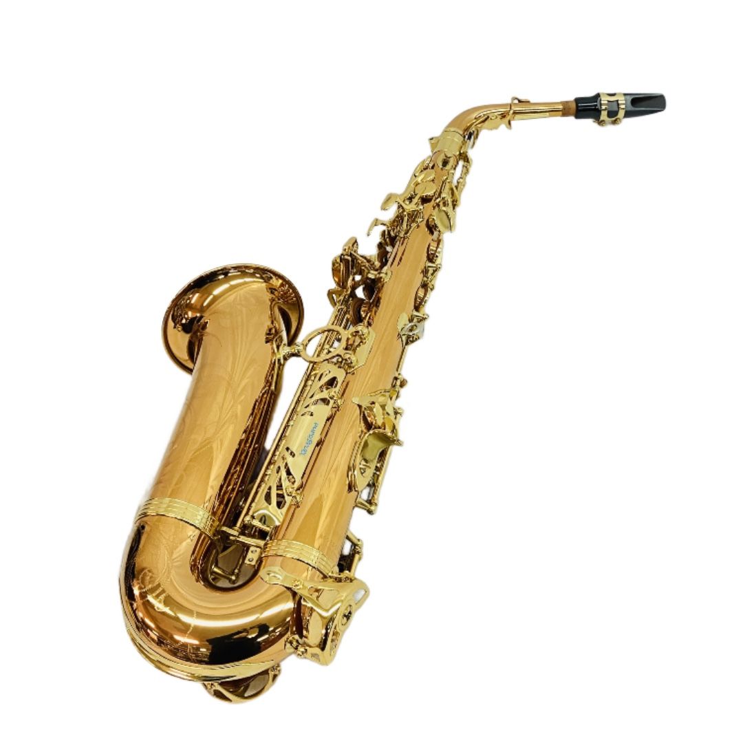 YANAGISAWA ヤナギサワ Alto Saxophone A-WO20 アルトサックス 管楽器