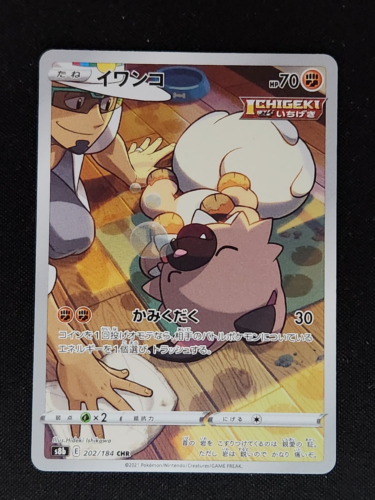 イワンコ CHR - メルカリ