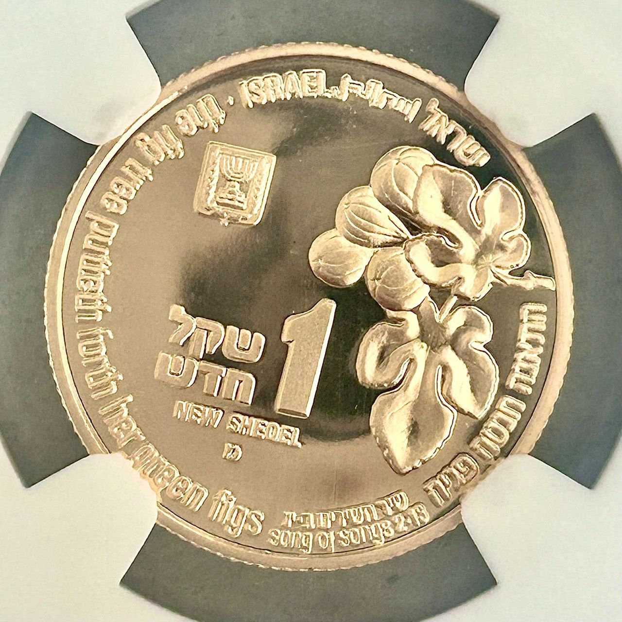 NGC最高鑑定☆1996年イスラエル1ニュー・シェケルプルーフ金貨☆PF70UC