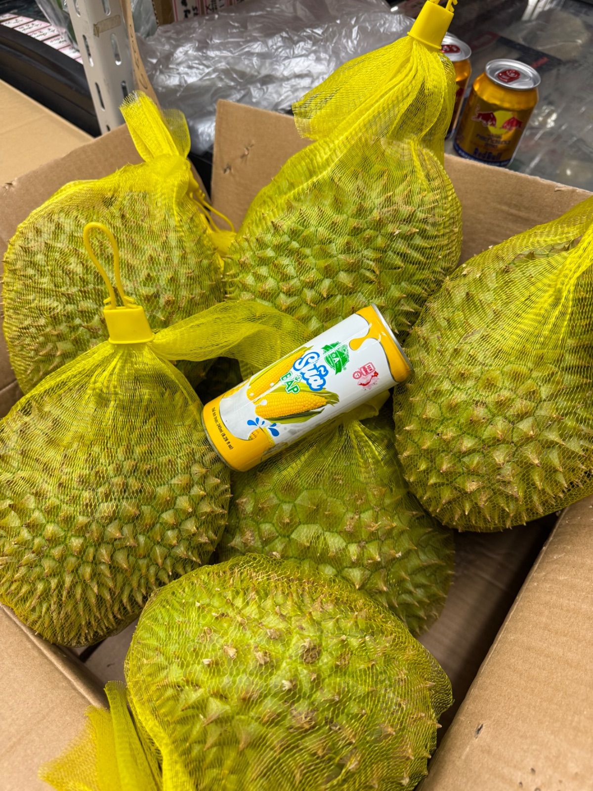 食べ頃サイン徹底解説】ベトナム産フレッシュドリアン 1玉約1.7kg～2kg