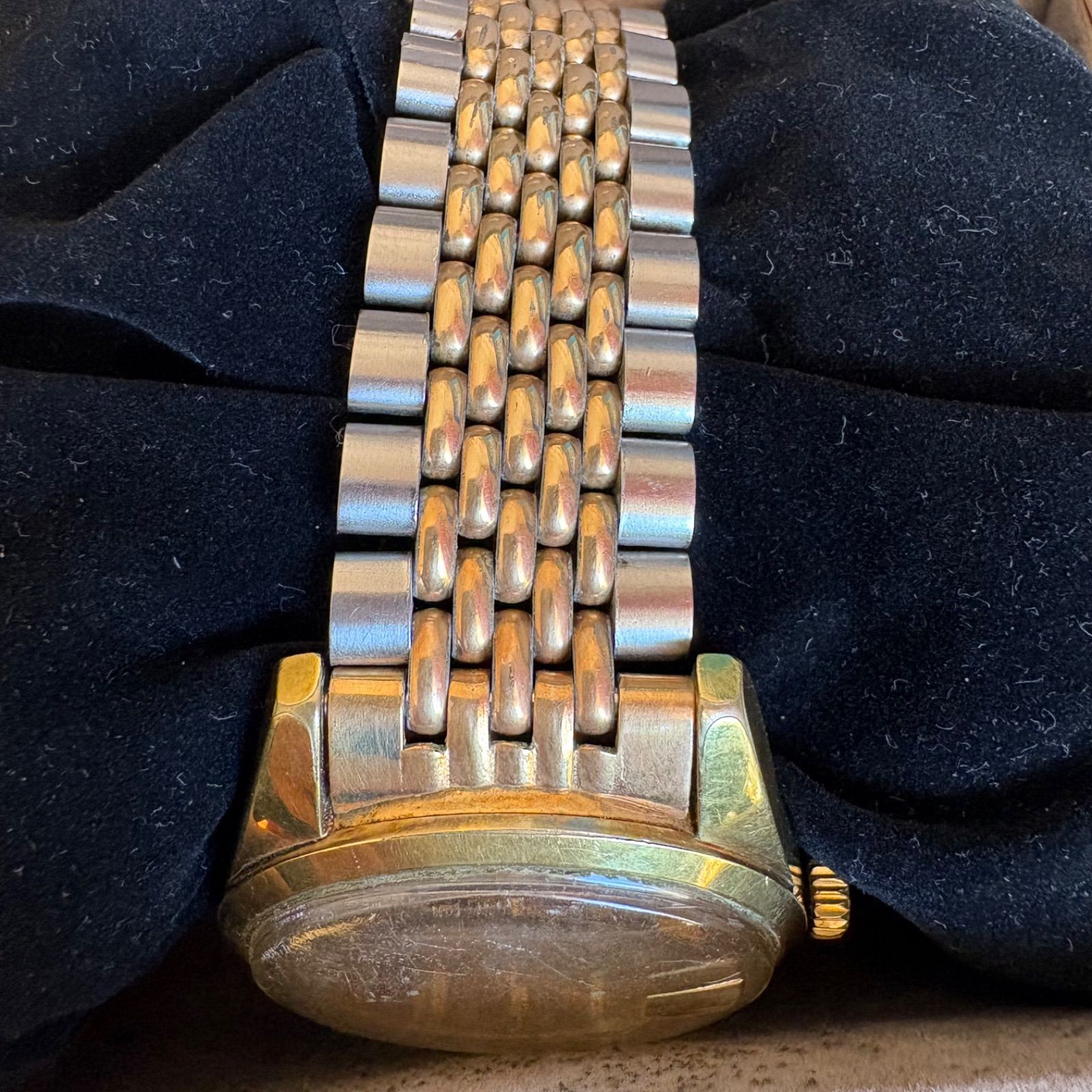 ゴールデンホース 11674