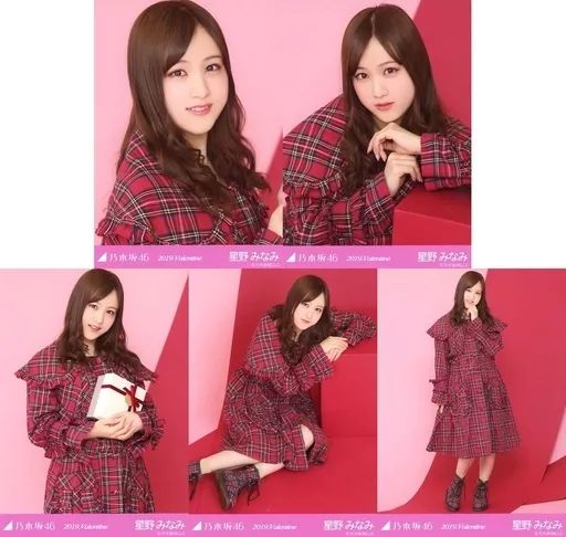 中古】生写真(乃木坂46) ◇星野みなみ/「2019.Valentine」WebShop 限定