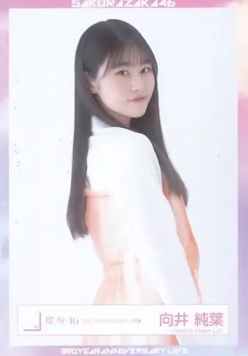 向井純葉　生写真フルコンプセット　最初期から2025/9まで Amazon.co.jp: 櫻坂46 向井純葉 生写真 2023 読書コーデ コンプ : おもちゃ