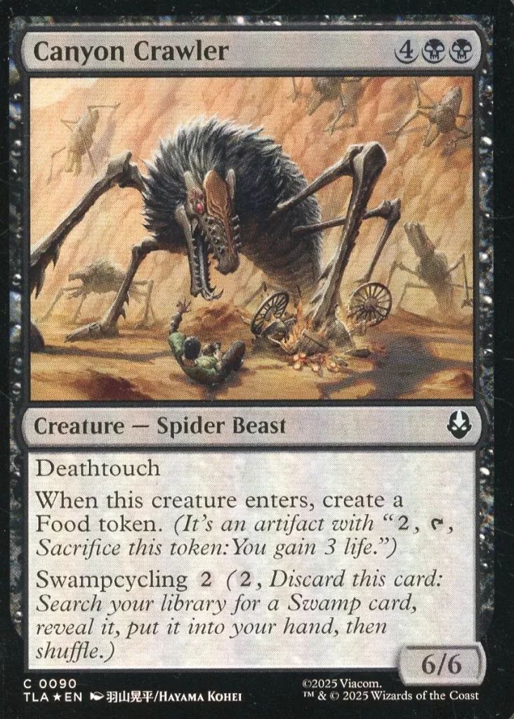 マジック：ザ・ギャザリングカード 約900枚 中古】マジックザギャザリング 0090[C]：【TLA】【FOIL】Canyon