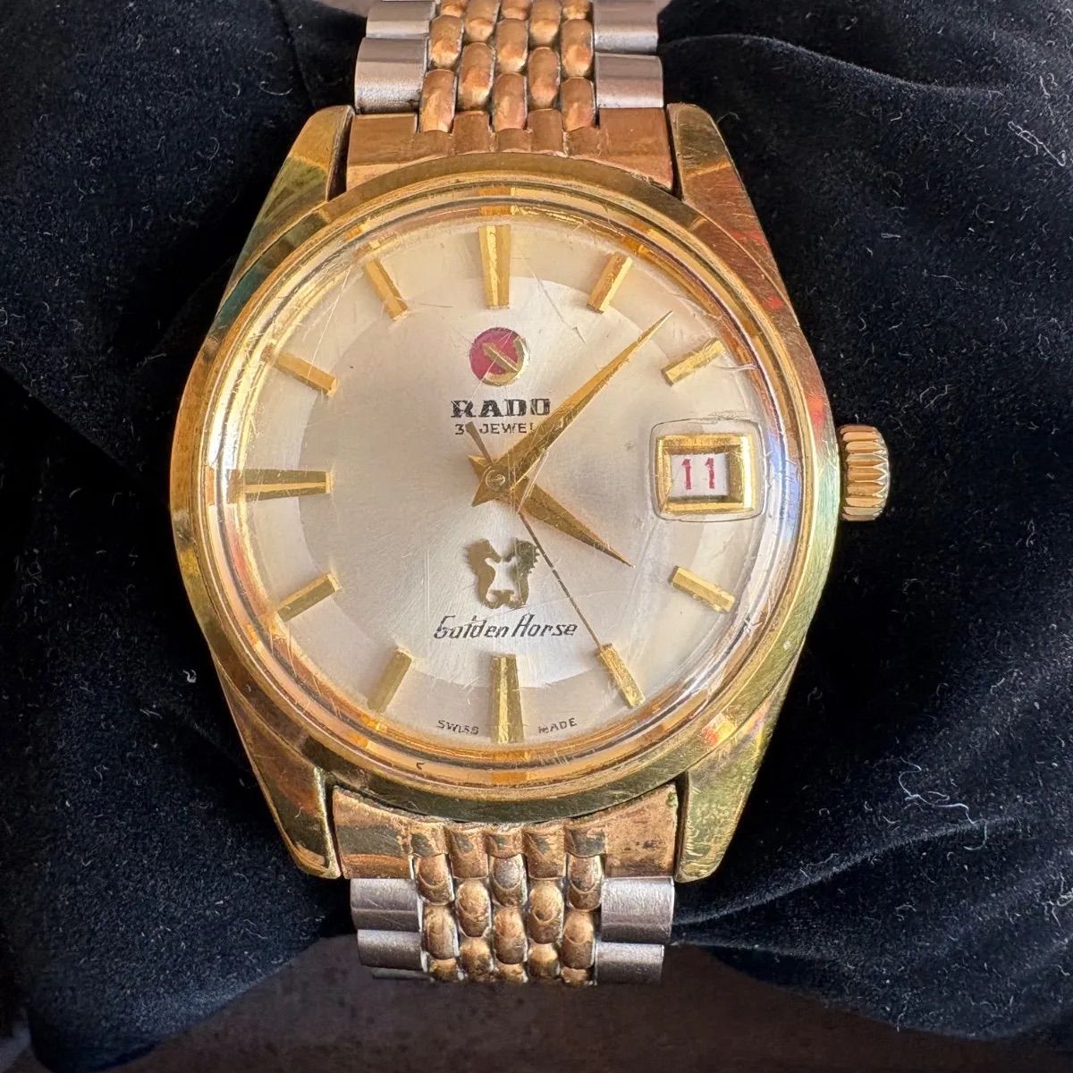 Rado g en horse ラドー ゴールデンホース 11674 1